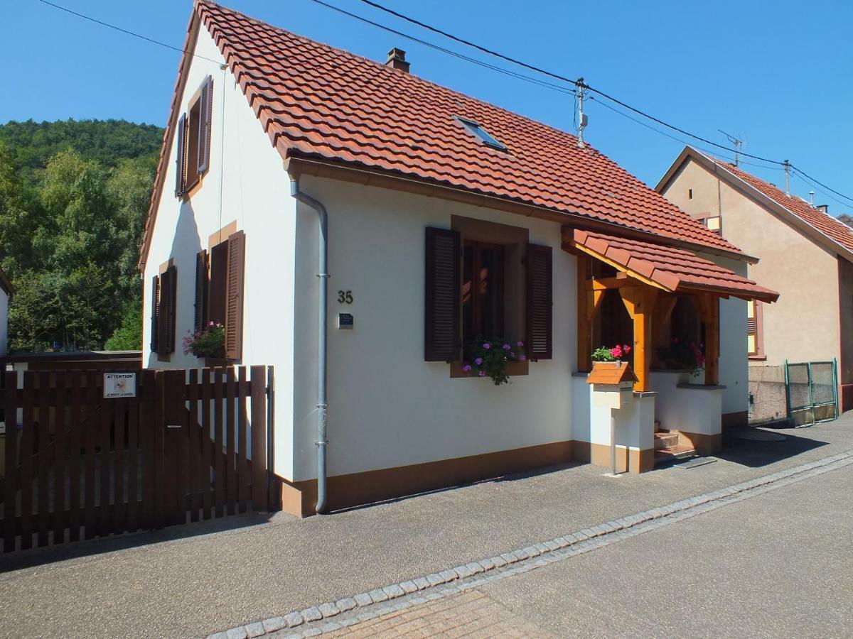 Meuble Celtic Apartment